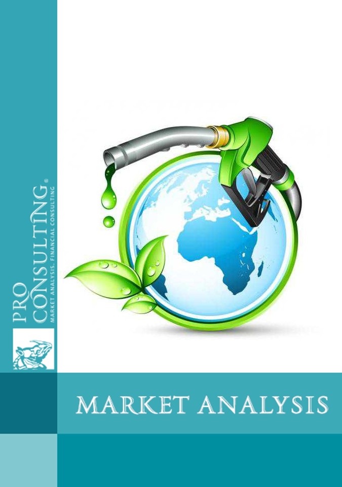 Market research report on bioethanol in Ukraine and the world. 2023 year